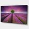 Designart - Lavender Field Sunset with Single Tree - Floral Canvas Art Print